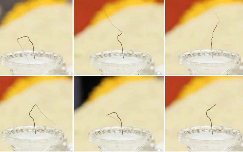 Thứ trưởng Vũ Chiến Thắng: Xử lý sớm, dứt điểm vụ “xá lợi tóc Đức Phật”