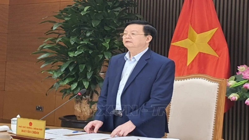 Chuẩn bị Đại hội Đảng bộ VEC nhiệm kỳ 2025-2030