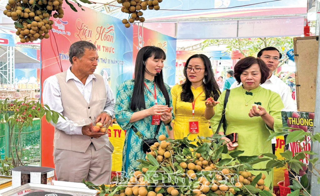 Các nhà vườn vào vụ thu hoạch nhãn chín sớm