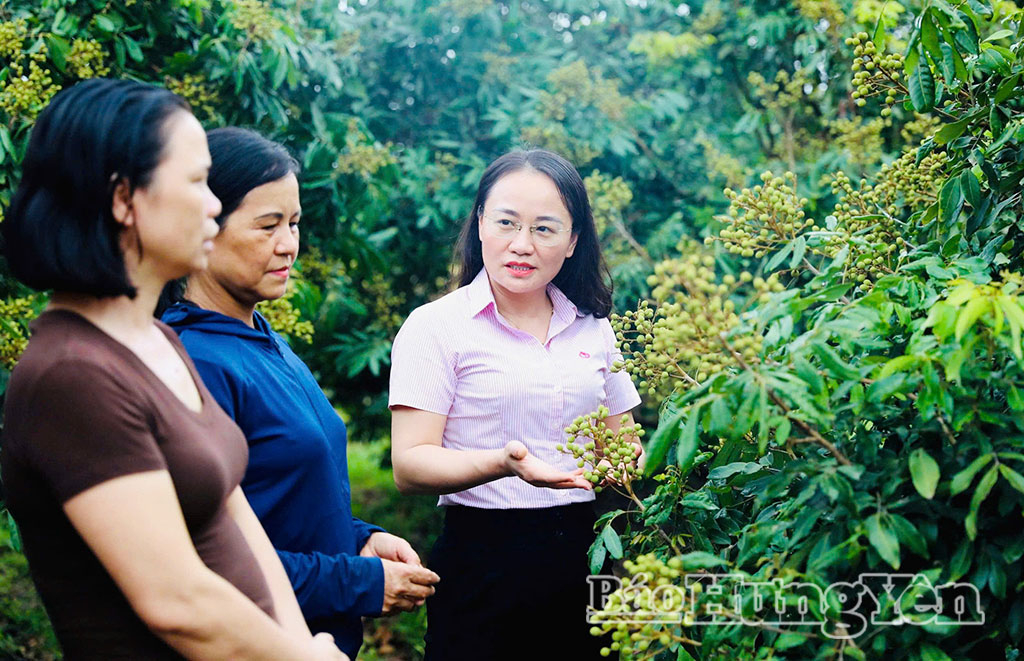 Phòng Giao dịch Ngân hàng Chính sách xã hội Tiên Lữ đồng hành cùng người dân phát triển kinh tế