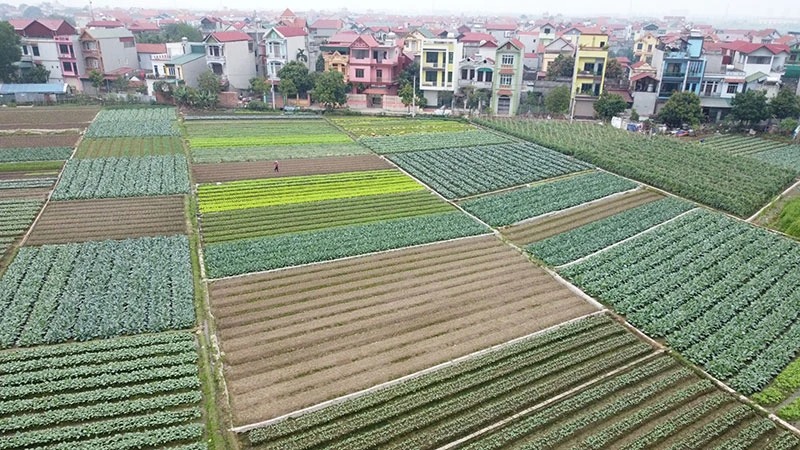 Đẩy mạnh truy xuất nguồn gốc nông sản