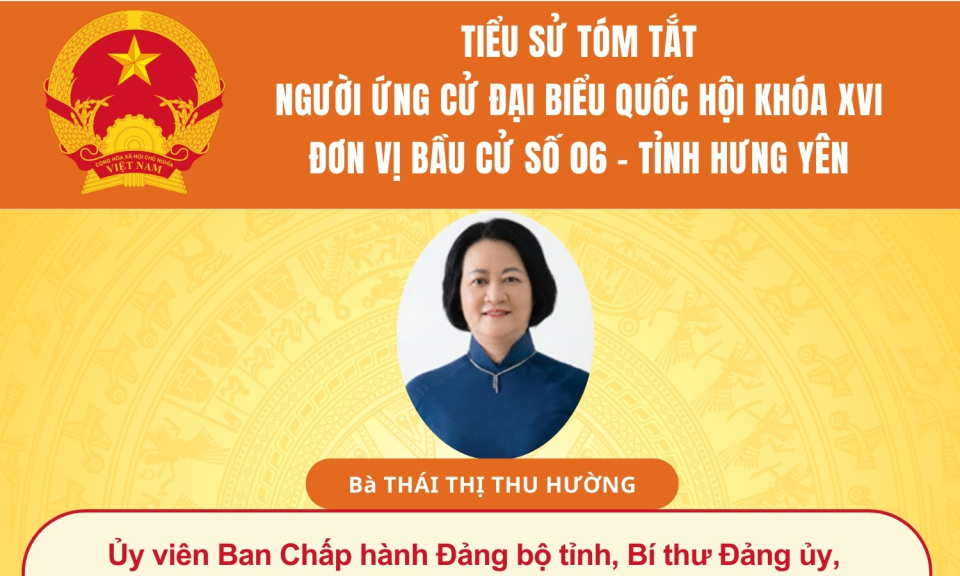 TIỂU SỬ VÀ CHƯƠNG TRÌNH HÀNH ĐỘNG CỦA NGƯỜI ỨNG CỬ ĐẠI BIỂU QUỐC HỘI KHÓA XVI: BÀ THÁI THỊ THU HƯỜNG