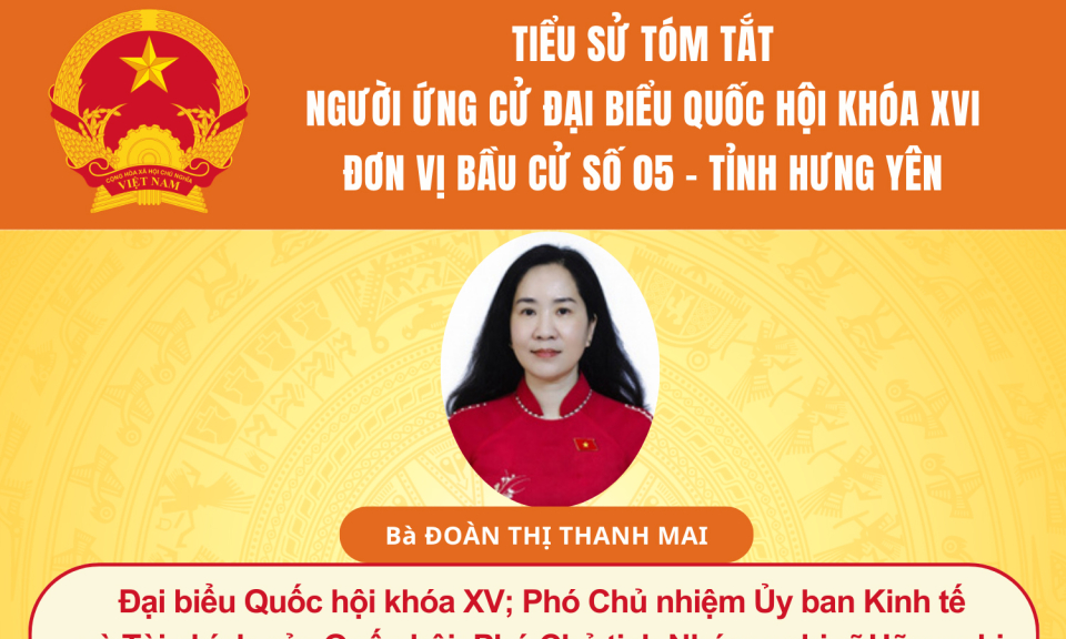 TIỂU SỬ VÀ CHƯƠNG TRÌNH HÀNH ĐỘNG CỦA NGƯỜI ỨNG CỬ ĐẠI BIỂU QUỐC HỘI KHÓA XVI: BÀ ĐOÀN THỊ THANH MAI