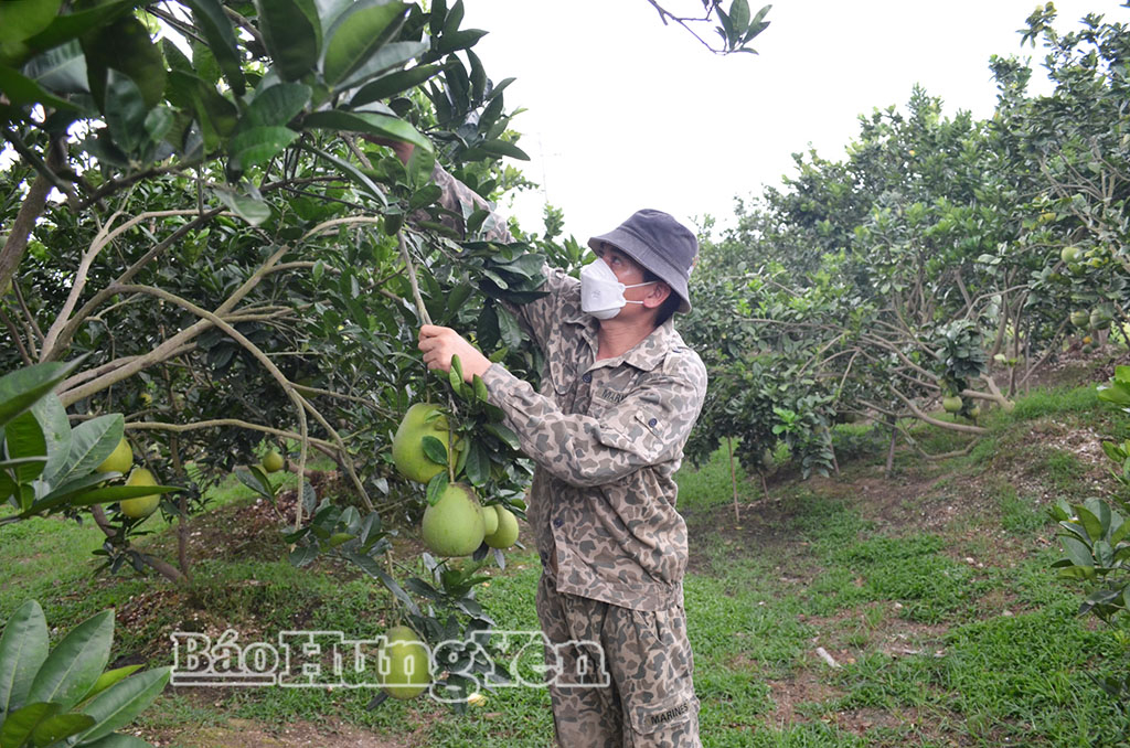 Đồng hành với nông dân xã Hoàng Hoa Thám phát triển kinh tế