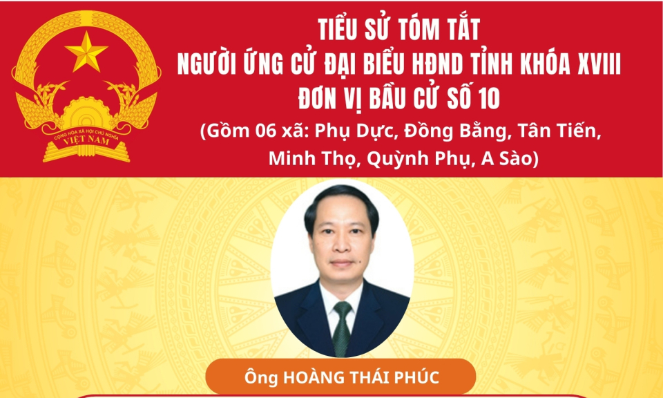 TIỂU SỬ VÀ CHƯƠNG TRÌNH HÀNH ĐỘNG CỦA ỨNG CỬ VIÊN ĐẠI BIỂU HĐND TỈNH KHÓA XVIII TẠI ĐƠN VỊ BẦU CỬ SỐ 10: ÔNG HOÀNG THÁI PHÚC