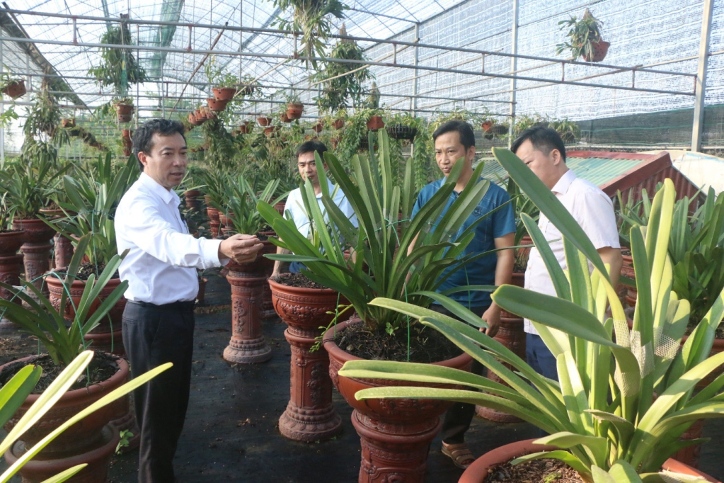 Chào mừng Đại hội Hội Nông dân tỉnh lần thứ X, nhiệm kỳ 2023 – 2028: Hội Nông dân tỉnh - Những dấu ấn đậm nét