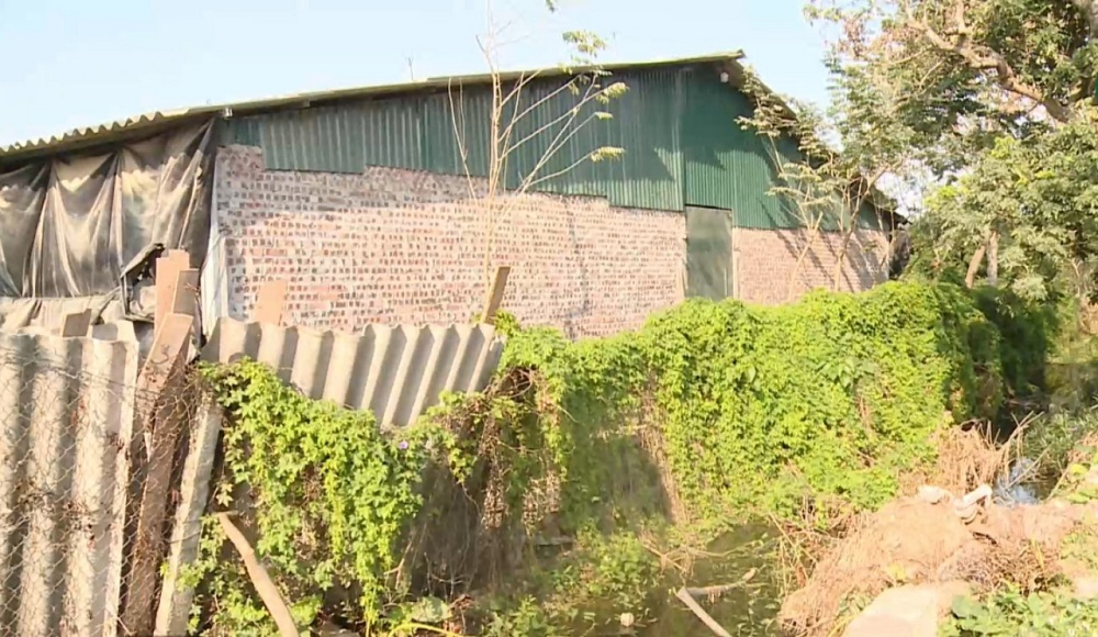 Chăn nuôi gây ô nhiễm môi trường ở thôn Dương Trạch