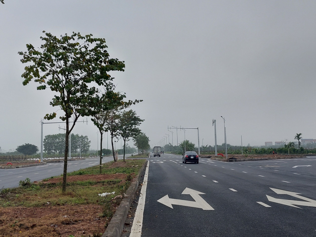 Lợi ích thiết thực của Tết trồng cây