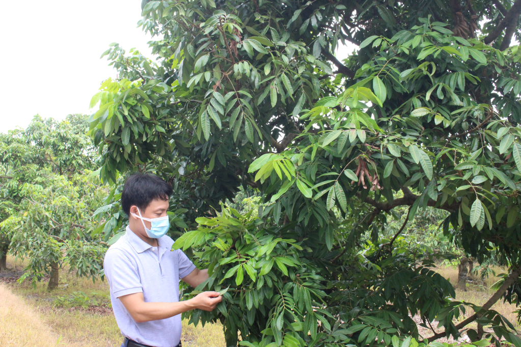 Nâng cao chất lượng tiêu chí số 13 trong xây dựng nông thôn mới ở xã Bình Kiều