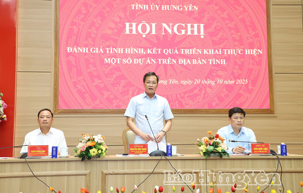 Thường trực Tỉnh ủy đánh giá kết quả thực hiện một số dự án trên địa bàn tỉnh