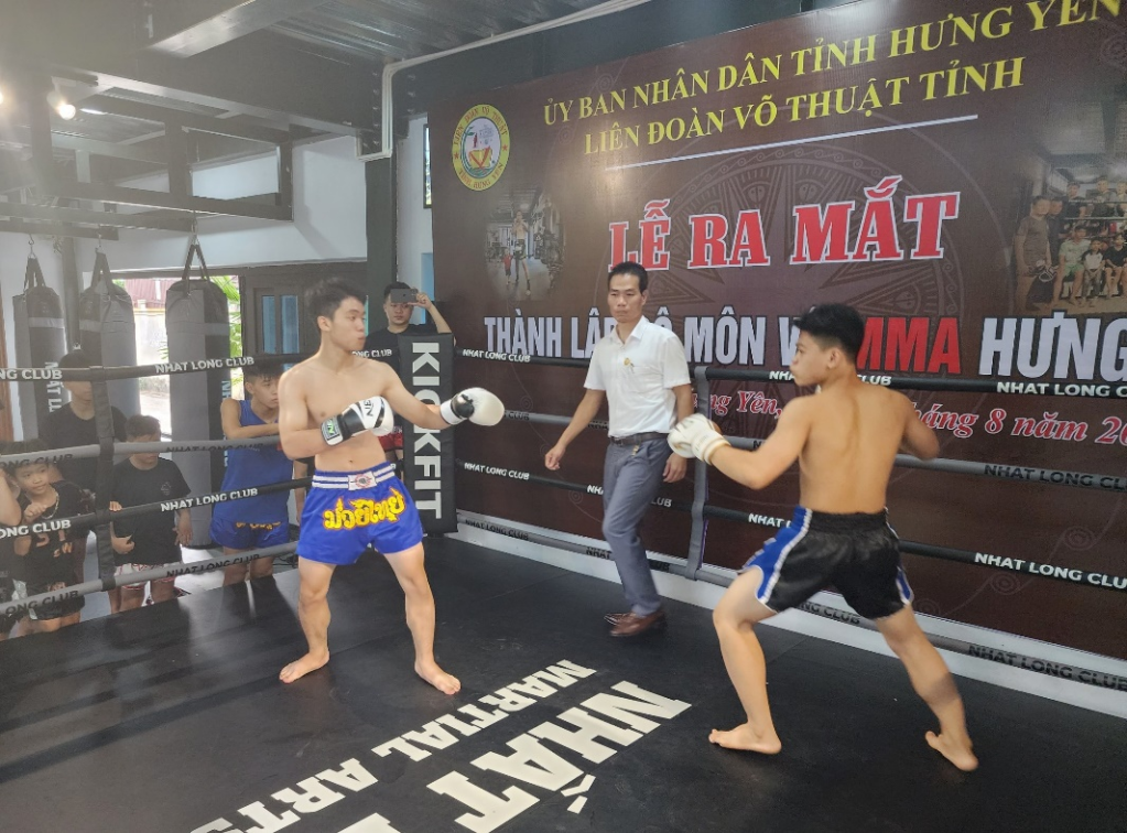 Liên đoàn Võ thuật tỉnh: Ra mắt bộ môn võ tổng hợp