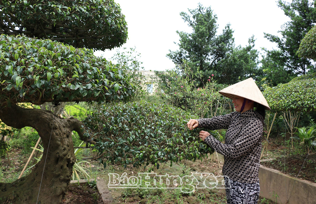 Công tác hội và phong trào phụ nữ xã Tân Thuận