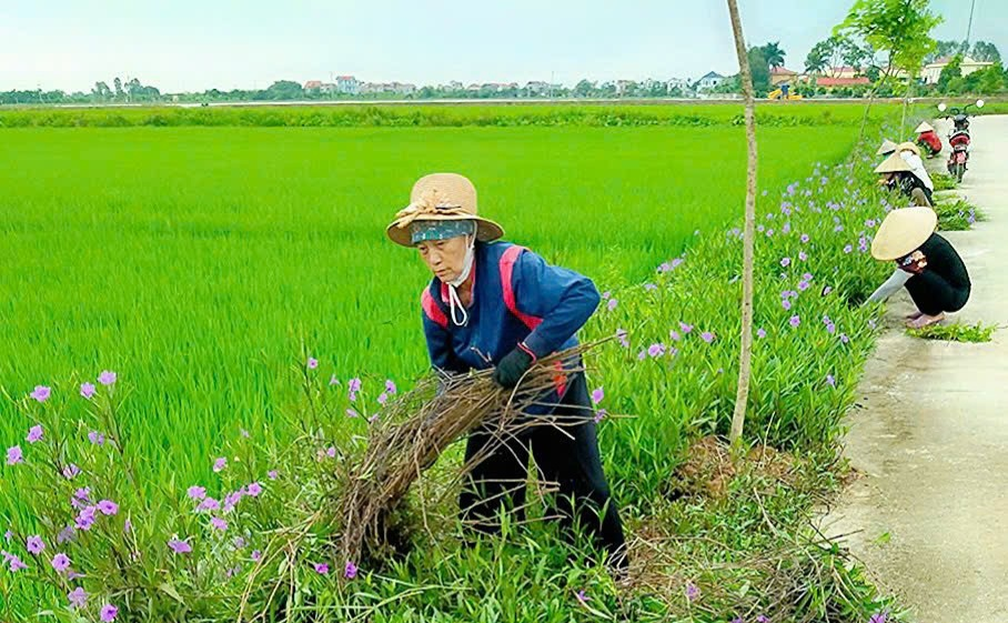 Hưởng ứng Chiến dịch làm cho thế giới sạch hơn: Chung tay tích cực hành động  làm cho thế giới sạch hơn