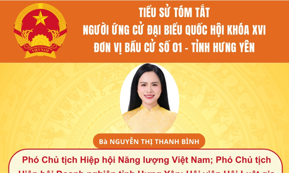 TIỂU SỬ VÀ CHƯƠNG TRÌNH HÀNH ĐỘNG CỦA NGƯỜI ỨNG CỬ ĐẠI BIỂU QUỐC HỘI KHÓA XVI: BÀ NGUYỄN THỊ THANH BÌNH