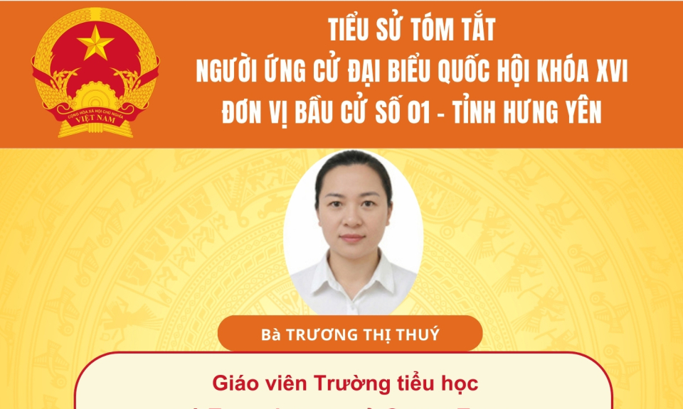 TIỂU SỬ VÀ CHƯƠNG TRÌNH HÀNH ĐỘNG CỦA NGƯỜI ỨNG CỬ ĐẠI BIỂU QUỐC HỘI KHÓA XVI: BÀ TRƯƠNG THỊ THÚY