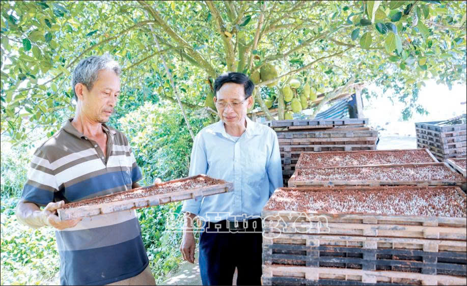 Phát triển dịch vụ mạ khay cấy máy