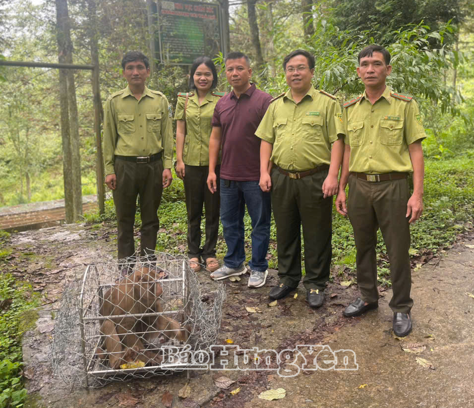 Lan tỏa ý thức bảo vệ động vật hoang dã từ những hành động thiết thực