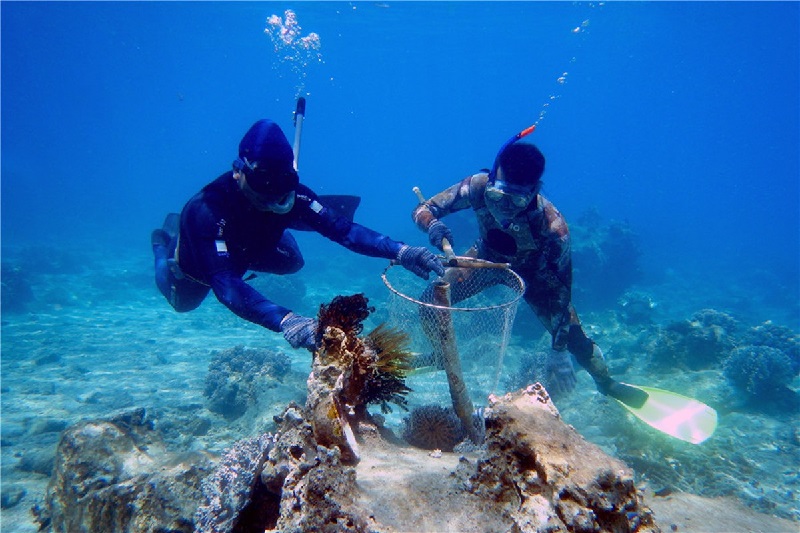 Bảo đảm an ninh môi trường để phát triển bền vững kinh tế Việt Nam