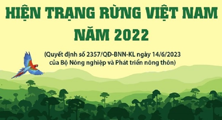 Tổng quan về hiện trạng rừng Việt Nam năm 2022