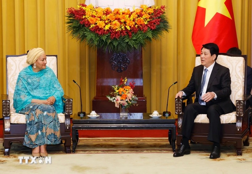 Chủ tịch nước đề nghị Liên hợp quốc hỗ trợ Việt Nam trên một số lĩnh vực ưu tiên
